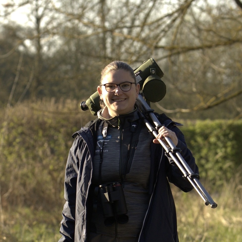 ebbd5c70-5111-4833-b656-12059606e217